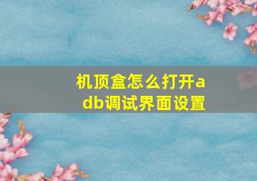 机顶盒怎么打开adb调试界面设置