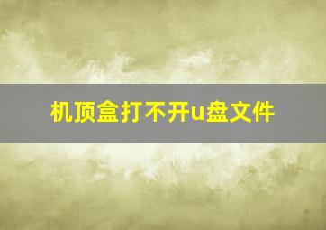 机顶盒打不开u盘文件