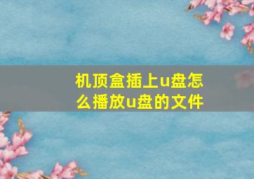 机顶盒插上u盘怎么播放u盘的文件