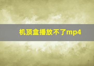 机顶盒播放不了mp4