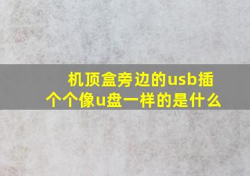 机顶盒旁边的usb插个个像u盘一样的是什么