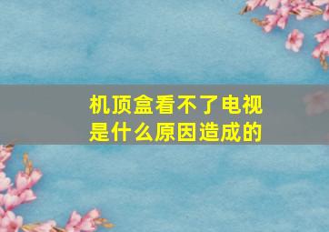 机顶盒看不了电视是什么原因造成的