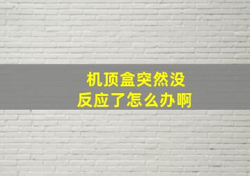 机顶盒突然没反应了怎么办啊