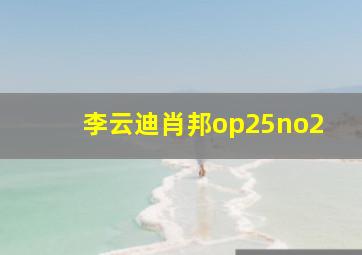 李云迪肖邦op25no2