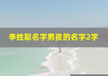 李姓取名字男孩的名字2字