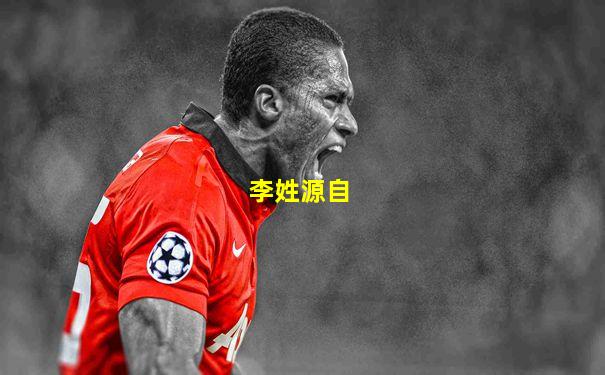 李姓源自