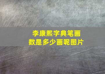 李康熙字典笔画数是多少画呢图片