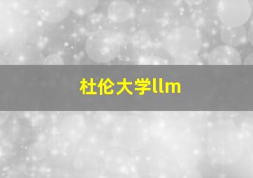 杜伦大学llm