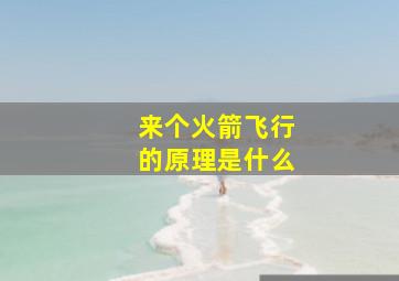 来个火箭飞行的原理是什么