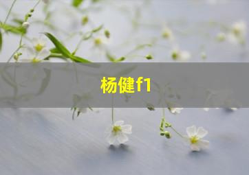 杨健f1