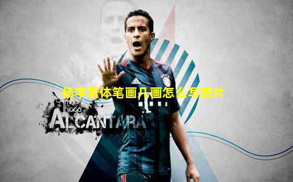 杨字繁体笔画几画怎么写图片