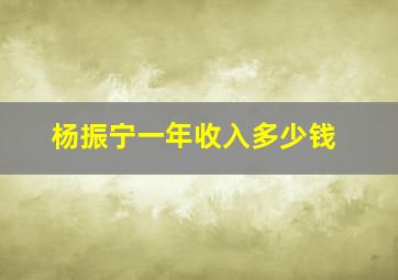 杨振宁一年收入多少钱