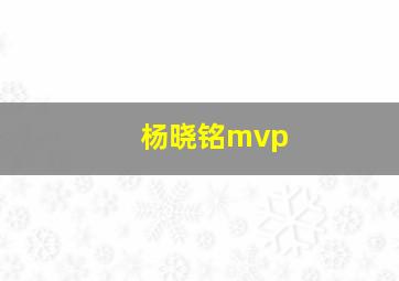 杨晓铭mvp