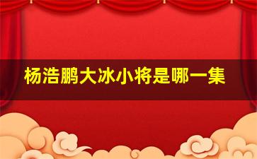 杨浩鹏大冰小将是哪一集