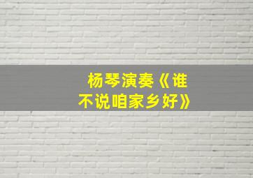 杨琴演奏《谁不说咱家乡好》