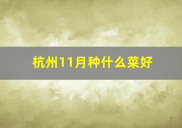 杭州11月种什么菜好