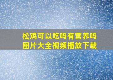 松鸡可以吃吗有营养吗图片大全视频播放下载