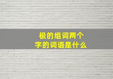 极的组词两个字的词语是什么