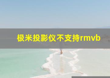 极米投影仪不支持rmvb