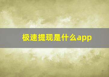 极速提现是什么app