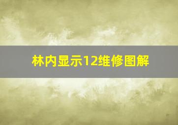 林内显示12维修图解