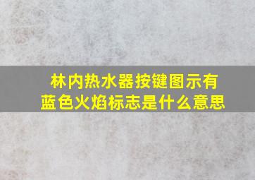 林内热水器按键图示有蓝色火焰标志是什么意思