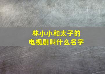 林小小和太子的电视剧叫什么名字