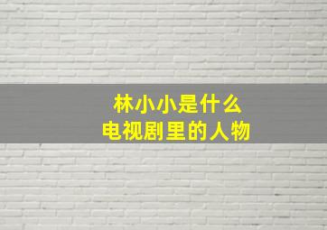 林小小是什么电视剧里的人物