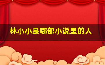 林小小是哪部小说里的人