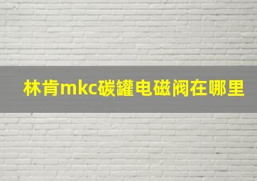 林肯mkc碳罐电磁阀在哪里