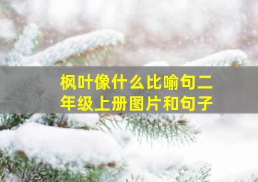 枫叶像什么比喻句二年级上册图片和句子