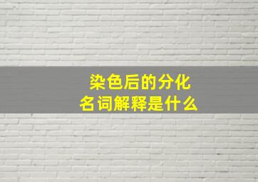 染色后的分化名词解释是什么