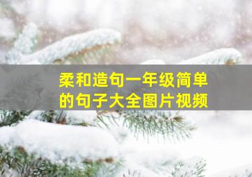 柔和造句一年级简单的句子大全图片视频