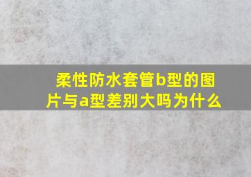 柔性防水套管b型的图片与a型差别大吗为什么