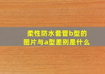 柔性防水套管b型的图片与a型差别是什么