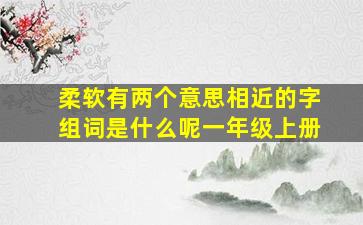 柔软有两个意思相近的字组词是什么呢一年级上册