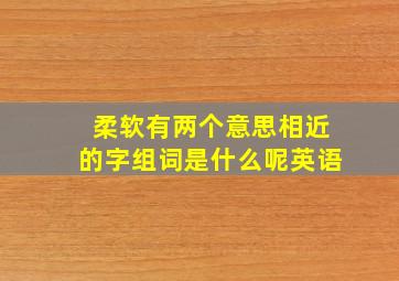 柔软有两个意思相近的字组词是什么呢英语