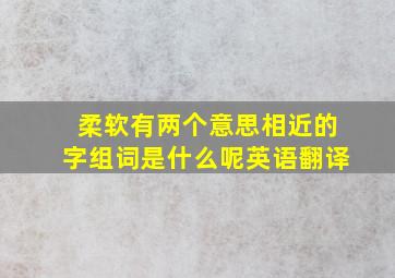 柔软有两个意思相近的字组词是什么呢英语翻译