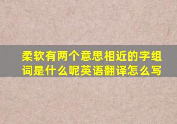 柔软有两个意思相近的字组词是什么呢英语翻译怎么写