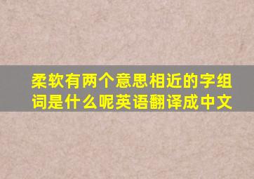 柔软有两个意思相近的字组词是什么呢英语翻译成中文