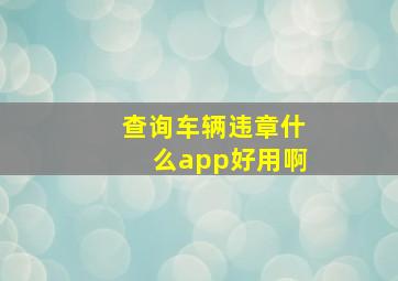 查询车辆违章什么app好用啊