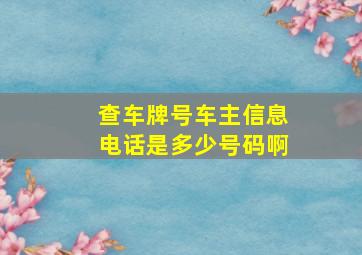 查车牌号车主信息电话是多少号码啊