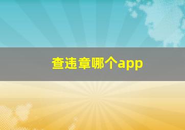 查违章哪个app