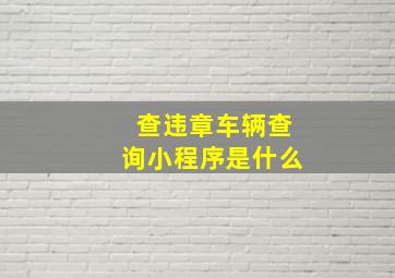 查违章车辆查询小程序是什么