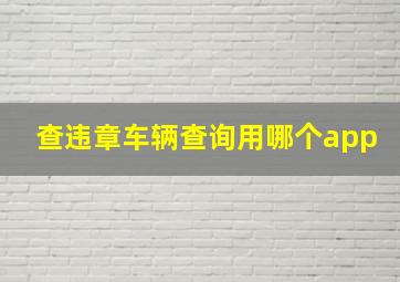 查违章车辆查询用哪个app