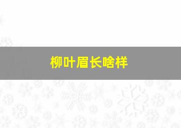 柳叶眉长啥样