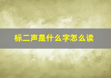 标二声是什么字怎么读