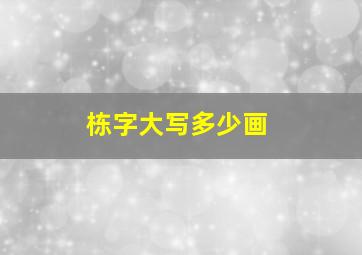 栋字大写多少画