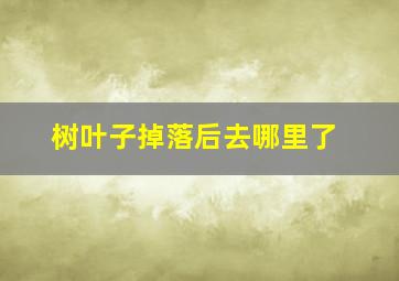 树叶子掉落后去哪里了