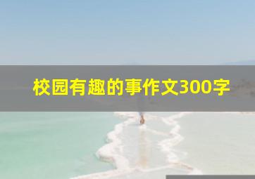 校园有趣的事作文300字